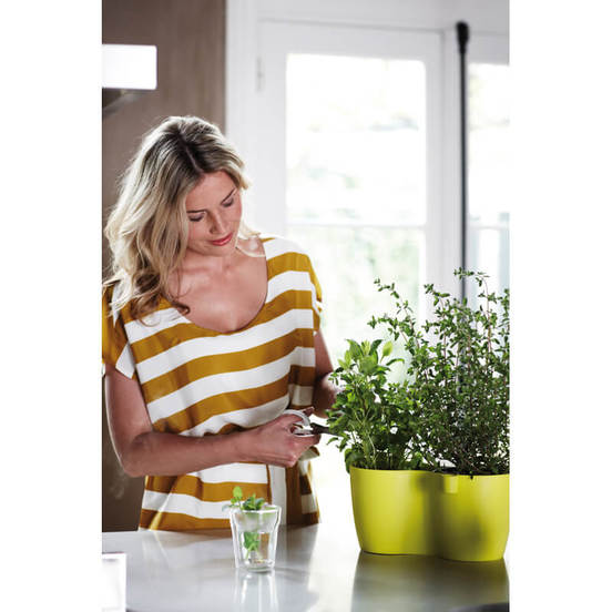 0502010903-2_552x552_pad_478b24840a