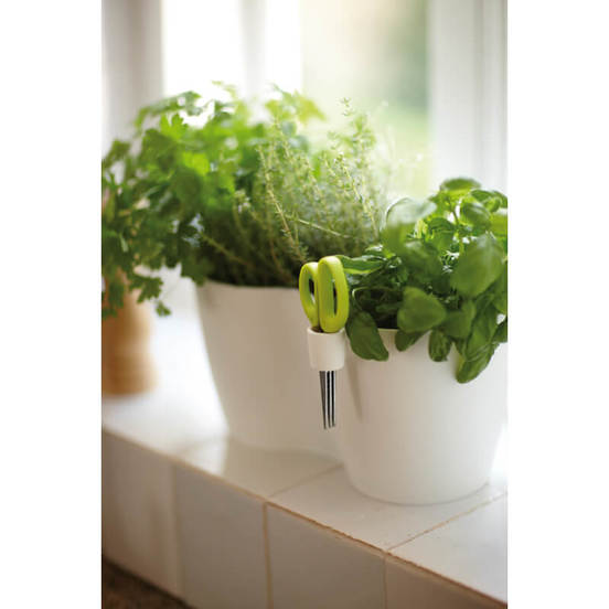 0502010903-3_552x552_pad_478b24840a