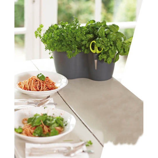 0502010903-4_552x552_pad_478b24840a