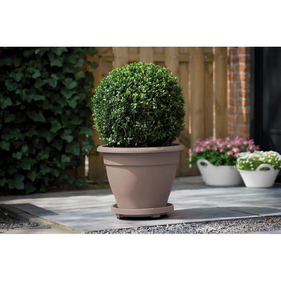 0502010982-2_552x552_pad_478b24840a