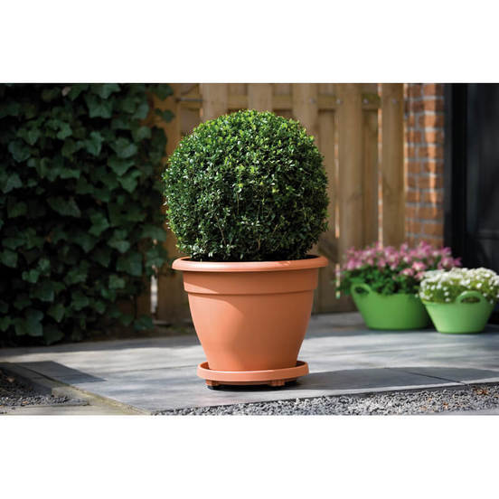 0502010982-3_552x552_pad_478b24840a