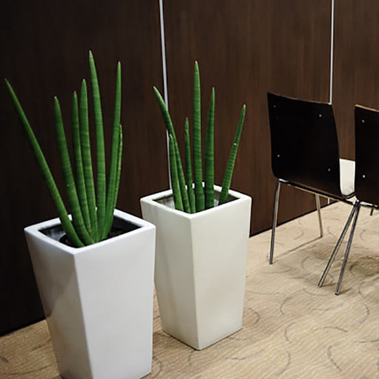 0502011241-2_552x552_pad_478b24840a