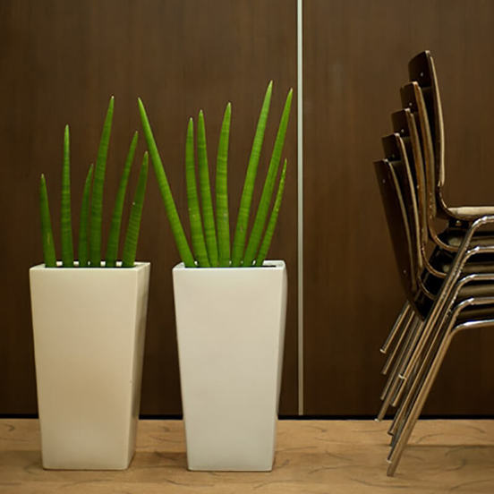 0502011241-4_552x552_pad_478b24840a