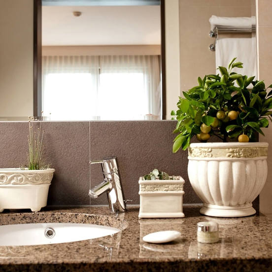 0502011274-2_552x552_pad_478b24840a