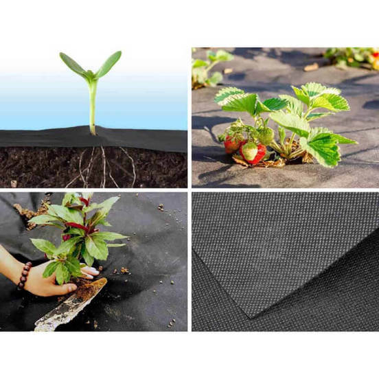 0502030084-pokrivalo-protiv-pleveli-agrotekstil-1-1m-x-5m-50gr-cherno-bradas-3_552x552_pad_478b24840a