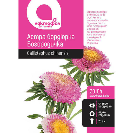 0502040520-semena-astra-hrizantemkova-miks-bogorodichka-botanik_552x552_pad_478b24840a