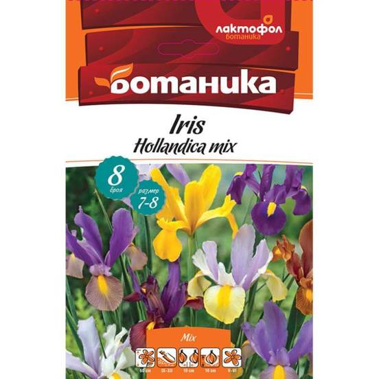 0502040601_552x552_pad_478b24840a