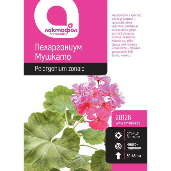 0502040613-semena-pelargonium-mushkato-botanik_552x552_pad_478b24840a