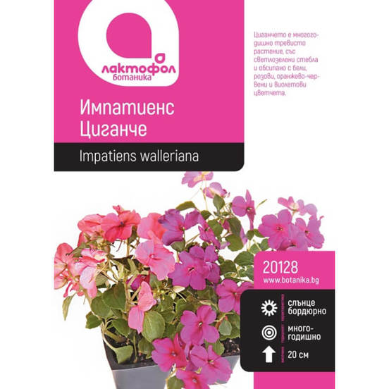 0502040614-semena-impatiens-ciganche-botanik_552x552_pad_478b24840a