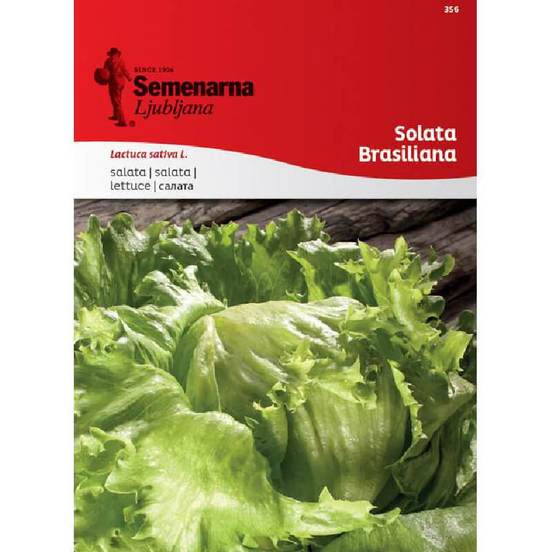 0502040646-semena-salata-braziliana_552x552_pad_478b24840a