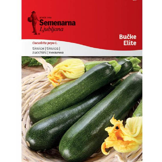 0502040652-semena-tikvichki-elit-f1_552x552_pad_478b24840a