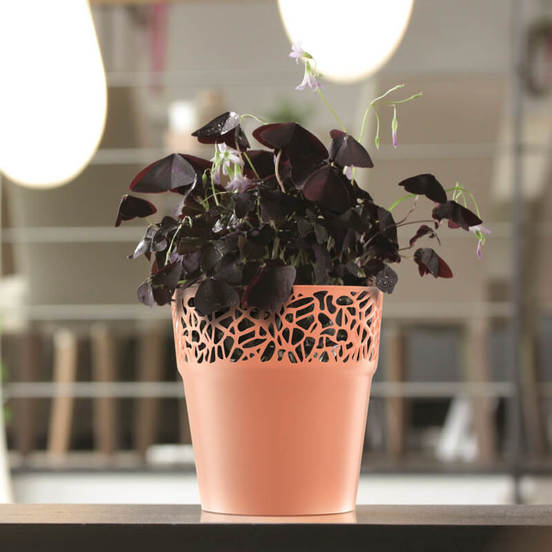 0502060028-kashpa-17-5-sm-naturo-praskova-prosperplast-2_552x552_pad_478b24840a