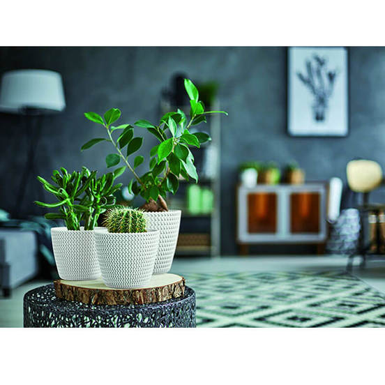 0502060043-45-1_552x552_pad_478b24840a