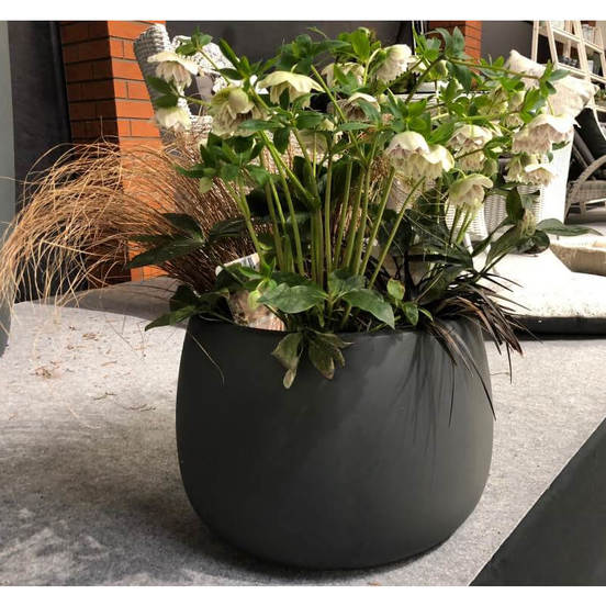 0502060186-187-plastmasova-kashpa-ecolite-f-33sm1_552x552_pad_478b24840a