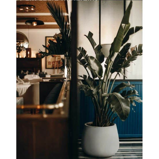 0502060294-2-kashpa-keramika-ecolite-47h31sm-siva-natural_552x552_pad_478b24840a