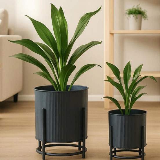 0502060307-3-kashpa-2br-na-stojka-cherni-fz1002270_552x552_pad_478b24840a