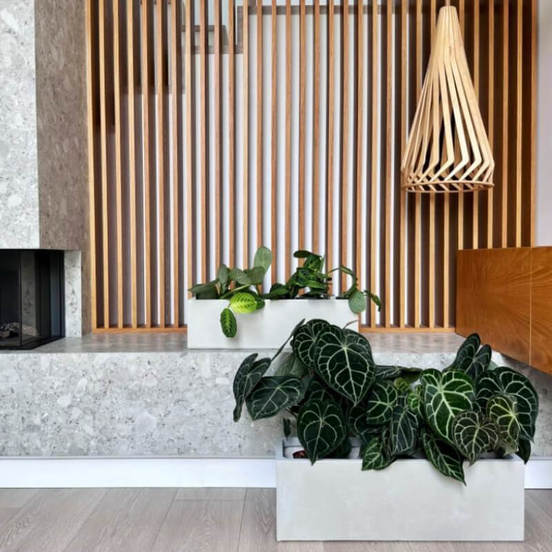 0502060312-2-kashpa-fibroglina-ecolite-80h30sm-svetlosiva-kvadrat-polnix_552x552_pad_478b24840a