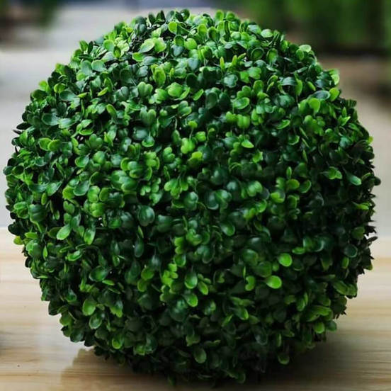 0502070275-dekorativno-ozelenjavane-topka-chemshir-38sm_552x552_pad_478b24840a