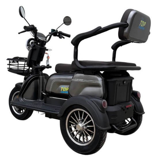 0505050012-2-elektricheska-trikolka_552x552_pad_478b24840a