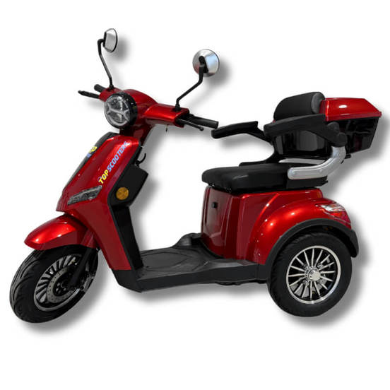 0505050104-elektricheska-trikolka-60-v-1000-w-luxor_552x552_pad_478b24840a