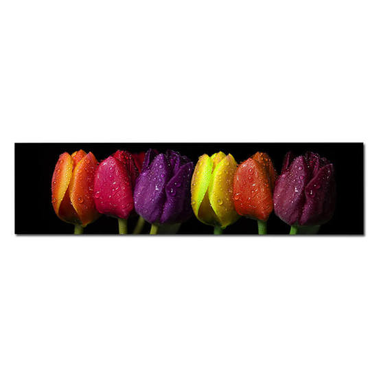 0607010833_552x552_pad_478b24840a