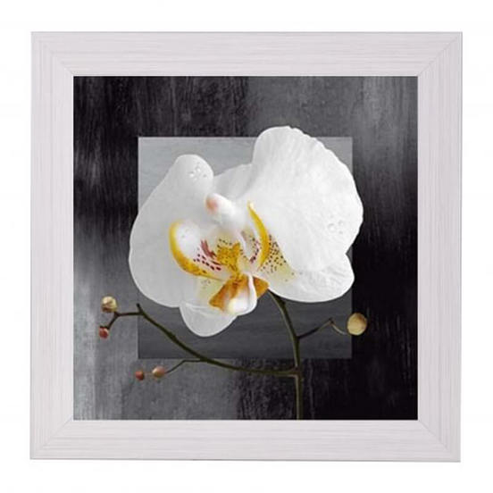 0607011210_552x552_pad_478b24840a