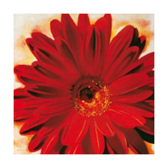 0607011413-kartina-40-h-40sm-cherven-gerber-mdf-ramka_552x552_pad_478b24840a