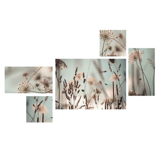 0607011604_552x552_pad_478b24840a