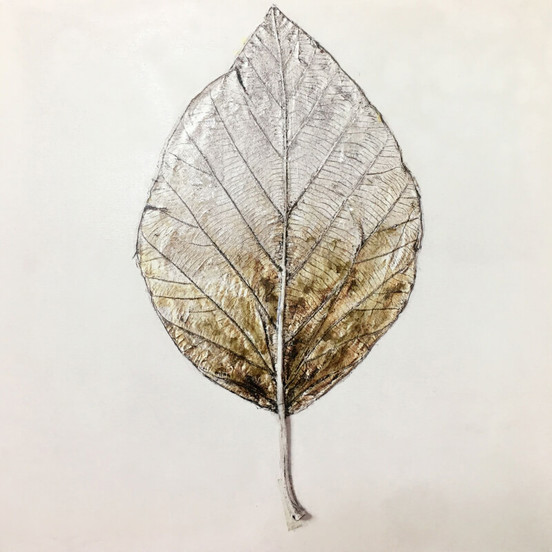 0607011696-kartina-s-dyrvena-podramka-listo-35-h-35sm-masleni-boi_552x552_pad_478b24840a