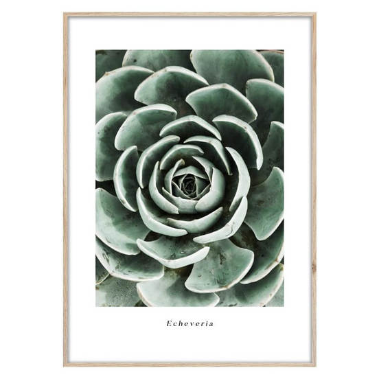 0607011840-kartina-za-stena_552x552_pad_478b24840a