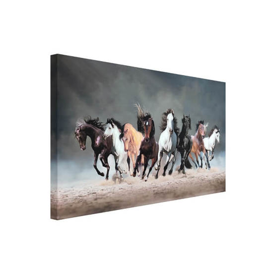 0607011855-1_552x552_pad_478b24840a