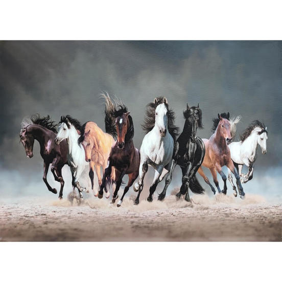 0607011855_552x552_pad_478b24840a