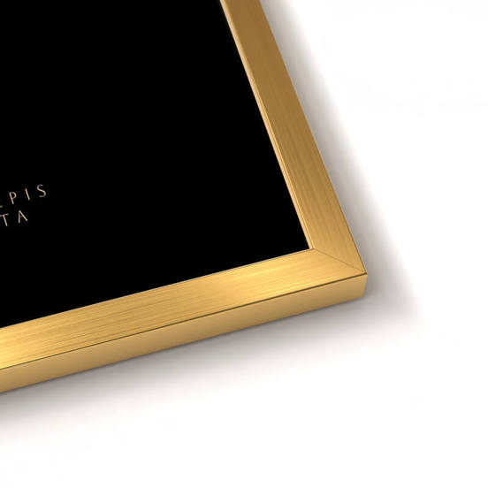 0607012151-1-kartina-za-stena-30x40sm-fr505-gold-fern_552x552_pad_478b24840a