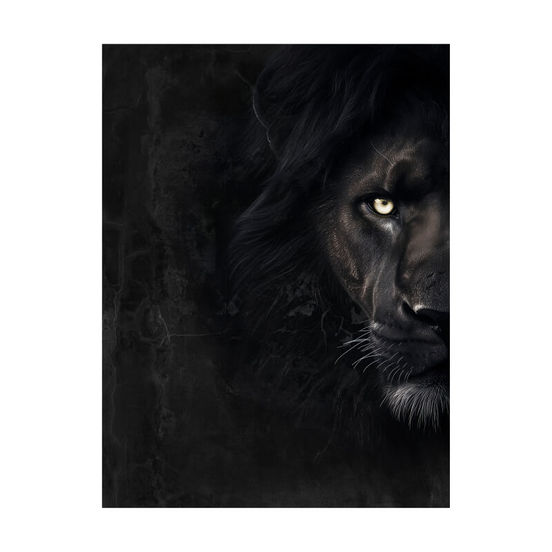 0607012203-1-kartina-za-stena-platno-kanava-60h80sm-st857-cheren-lyv-styler_552x552_pad_478b24840a