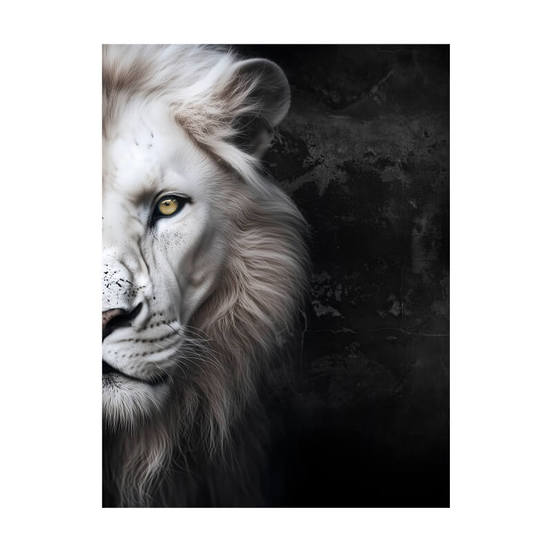 0607012204-1-kartina-za-stena-platno-kanava-60h80sm-st858-bjal-lyv-styler_552x552_pad_478b24840a