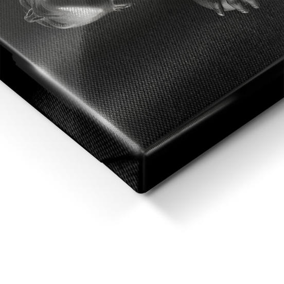 0607012208-6-kartina-za-stena-platno-kanava-70h100sm-st647-cherno-i-bjalo-styler_552x552_pad_478b24840a