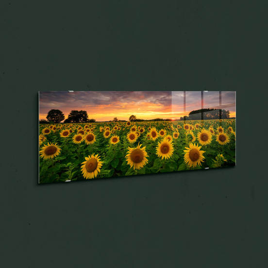 0607012214-5-styklena-kartina-za-stena-50h125sm-gl545-slynchogledi-styler_552x552_pad_478b24840a