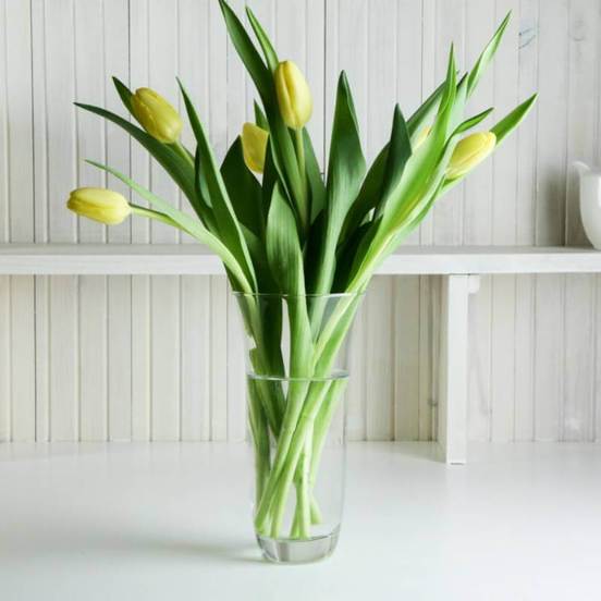 0607040490-1_552x552_pad_478b24840a