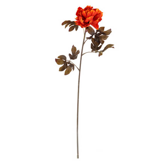 0607060310-1_552x552_pad_478b24840a