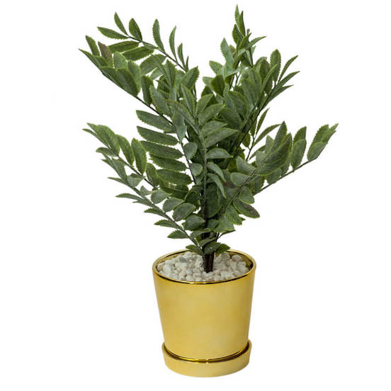 0607061058-izkustveno-razstenie-zeleno-v-zlatna-kashpa-10h10h40sm-aranzhirovka_552x552_pad_478b24840a