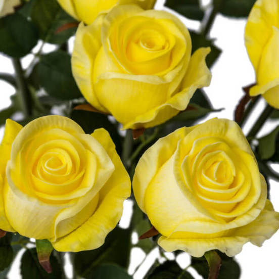 0607061081-4-aranzhirovka-stryk-roza-silikonova-malka-7080-tonys-decor_552x552_pad_478b24840a