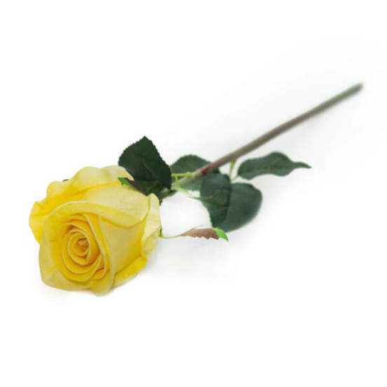 0607061081-5-aranzhirovka-stryk-roza-silikonova-malka-7080-tonys-decor_552x552_pad_478b24840a