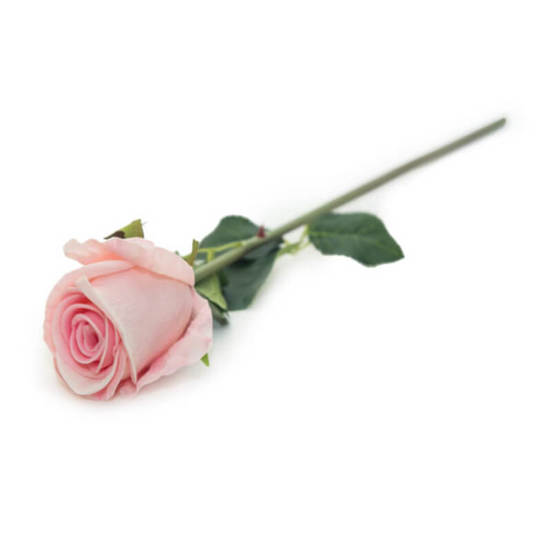 0607061081-7-aranzhirovka-stryk-roza-silikonova-malka-7080-tonys-decor_552x552_pad_478b24840a