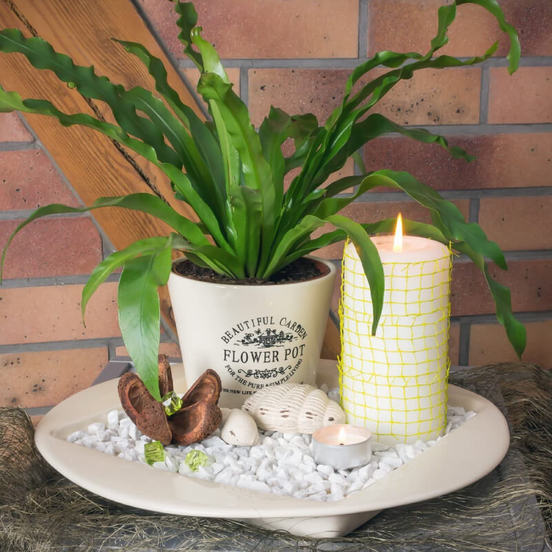 0607061110-3_552x552_pad_478b24840a