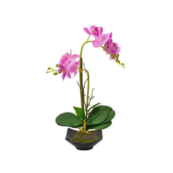 0607061229-izkustvena-orhideja-v-kashpa-5-5-x-44sm-lilava_552x552_pad_478b24840a