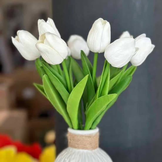 0607061426-2-aranzhirovka-lale-bjalo-120767_552x552_pad_478b24840a