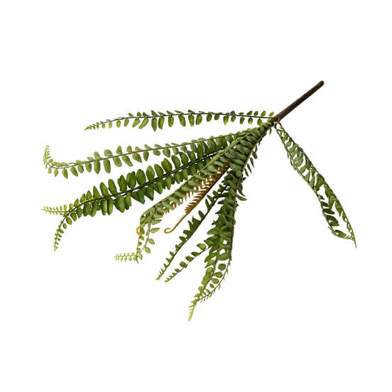 0607061449-aranzhirovka-zelena-klonka-33sm_552x552_pad_478b24840a