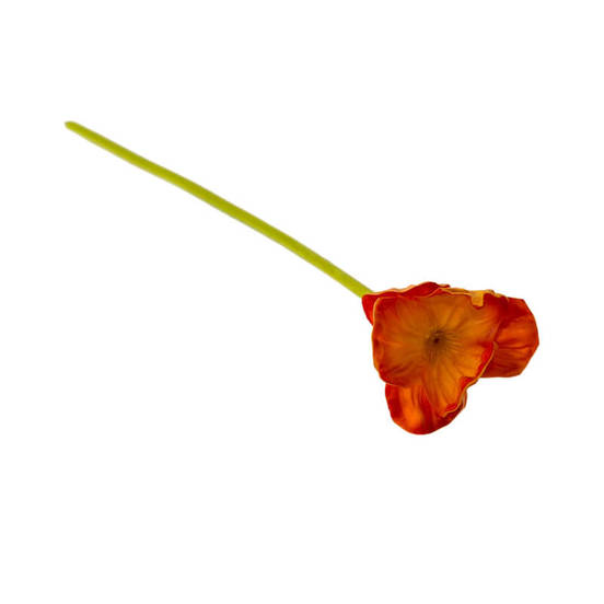 0607061469-aranzhirovka-izkustven-mak-oranzhev-cvjat_552x552_pad_478b24840a