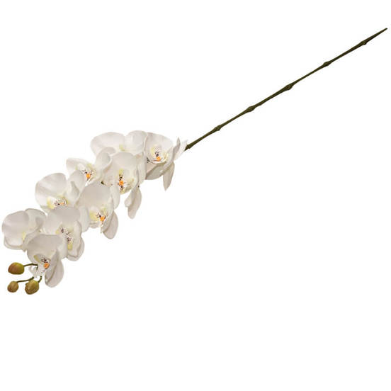 0607061603-stryk-visjashta-klonka-za-aranzhirovka-orhideja-100sm_552x552_pad_478b24840a