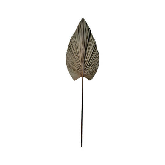 0607061723-dekoracija-listo-leafen-150sm-estestveno-palmovo-listo-335-000015_552x552_pad_478b24840a